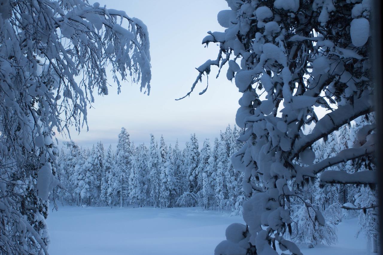 Javri Lodge Сариселка Екстериор снимка